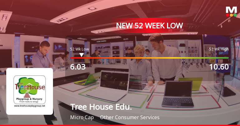 Tree House Education & Accessories Ltd Falls to 52-Week Low of Rs 6.03 as Sell-Off Deepens