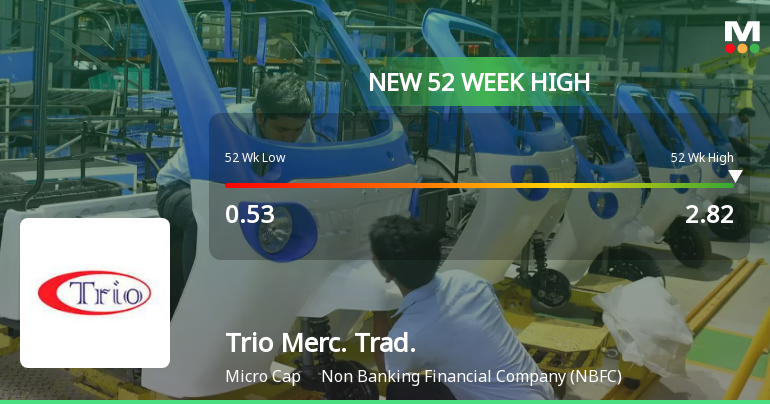 Broad-Based Technical Strength Lifts Trio Mercantile & Trading Ltd to 52-Week High of Rs 2.82