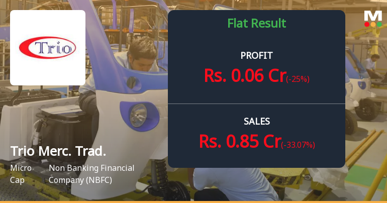 Trio Mercantile & Trading Q1 FY27: Profitability Returns Amid Volatile Trading Operations