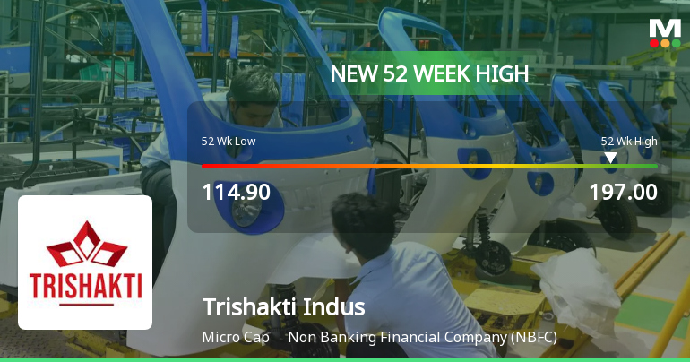 Broad-Based Technical Strength Lifts Trishakti Industries Ltd to 52-Week High of Rs 197