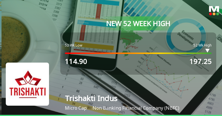 Broad-Based Technical Strength Lifts Trishakti Industries Ltd to 52-Week High of Rs 197.25