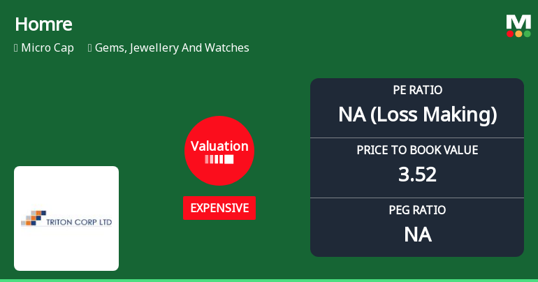 Triton Corp. Ltd Valuation Shifts Signal Price Attractiveness Change Amid Sector Dynamics