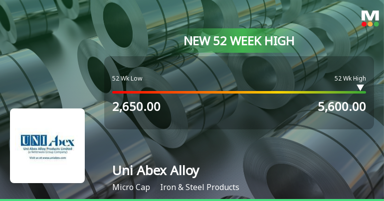 Broad-Based Technical Strength Lifts Uni Abex Alloy Products Ltd to 52-Week High of Rs 5600