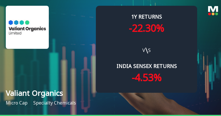 Valiant Organics Ltd Technical Momentum Shifts Amid Mixed Market Signals