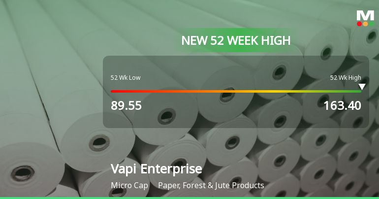 Broad-Based Technical Strength Lifts Vapi Enterprise Ltd to 52-Week High of Rs 163.4