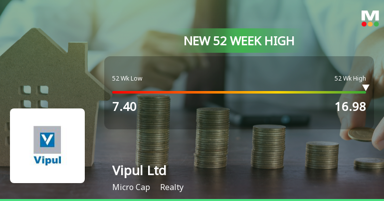 Broad-Based Technical Strength Lifts Vipul Ltd to 52-Week High of Rs 16.98