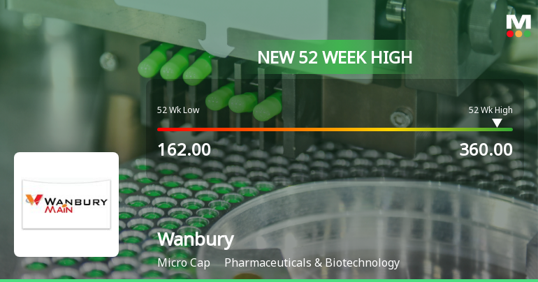 Broad-Based Technical Strength Lifts Wanbury Ltd to 52-Week High of Rs 360