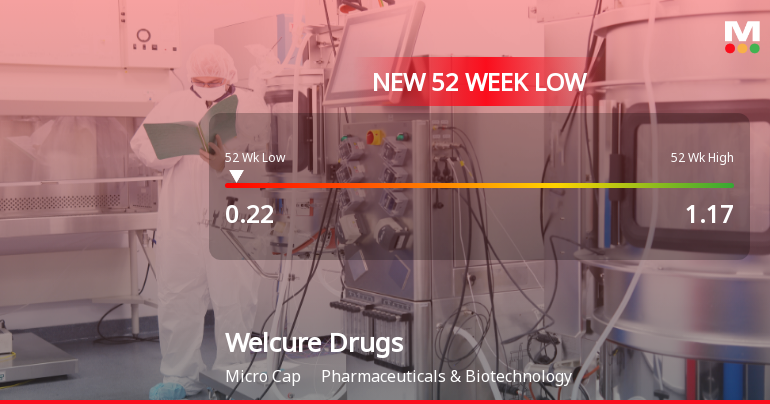 Welcure Drugs & Pharmaceuticals Ltd Falls to 52-Week Low of Rs 0.22 as Sell-Off Deepens