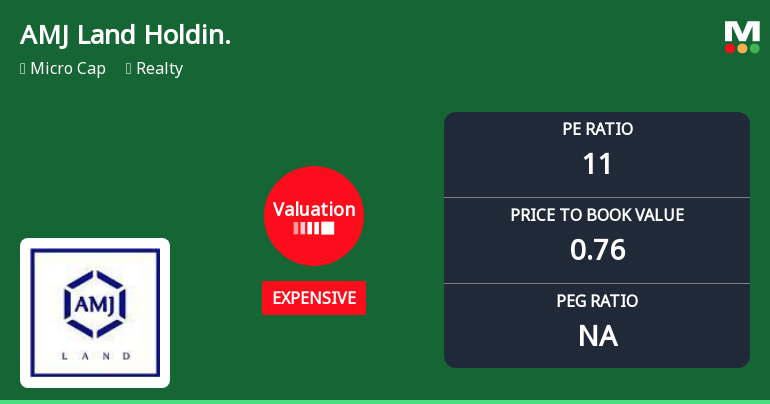 AMJ Land Holdings Ltd Valuation Shifts Signal Deteriorating Price Attractiveness