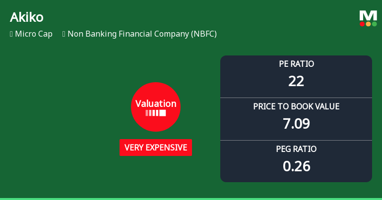 Akiko Global Services Ltd Valuation Shifts Signal Heightened Price Attractiveness