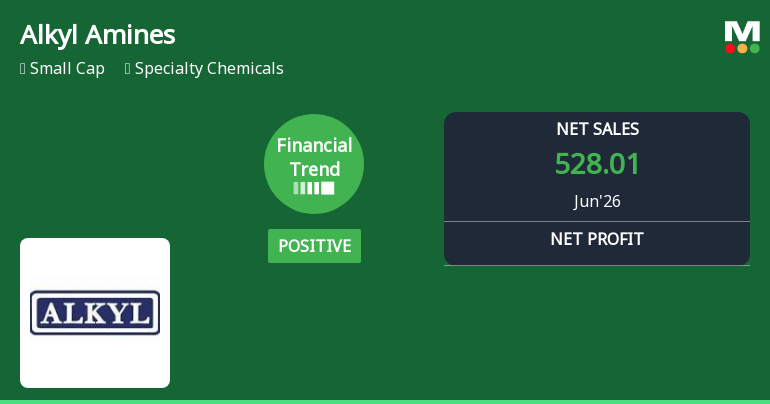 Alkyl Amines Chemicals Ltd Reports Strong Quarterly Growth, Upgrades Financial Outlook