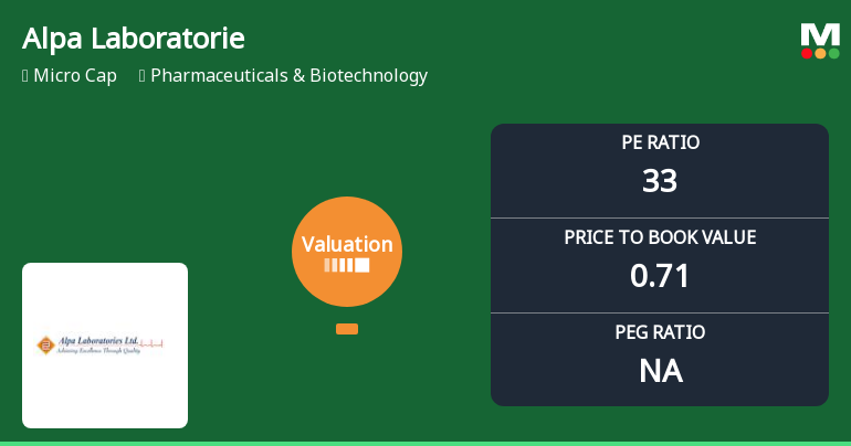 Alpa Laboratories Ltd Valuation Shifts Signal Elevated Risk Amid Sector Challenges