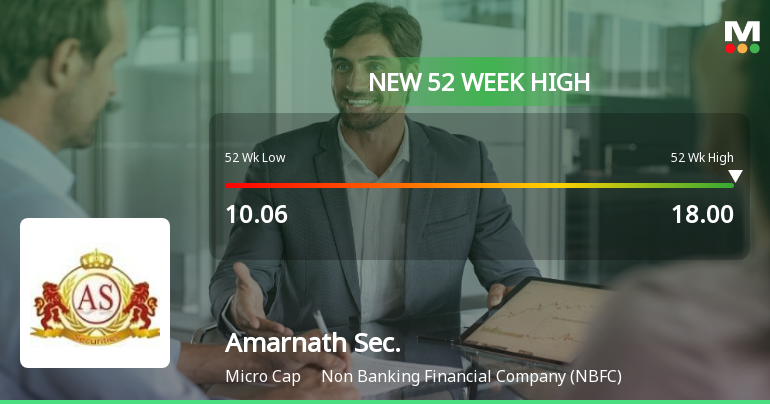 Broad-Based Technical Strength Lifts Amarnath Securities Ltd to 52-Week High of Rs 18