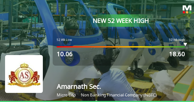 Broad-Based Technical Strength Lifts Amarnath Securities Ltd to 52-Week High of Rs 18.6