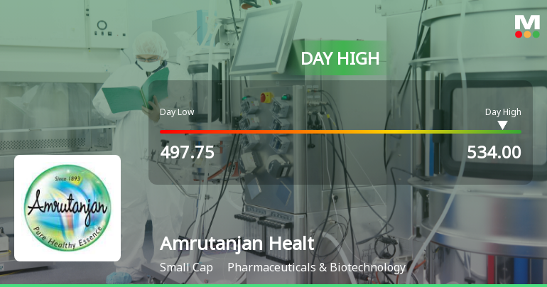 Amrutanjan Health Care Ltd Surges 7.29% to Day's High of Rs 534 — Outperforms Sector by 6.73 Percentage Points