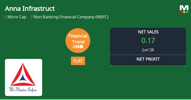 Anna Infrastructures Ltd Reports Flat Quarterly Performance Amid Market Challenges
