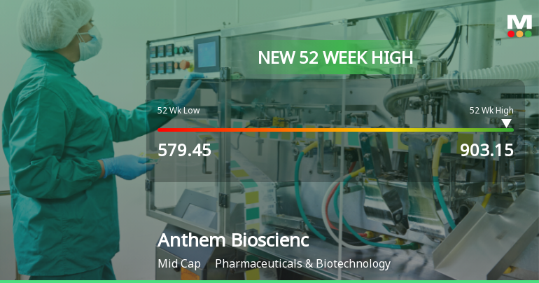 Broad-Based Technical Strength Lifts Anthem Biosciences Ltd to 52-Week High of Rs 903.15