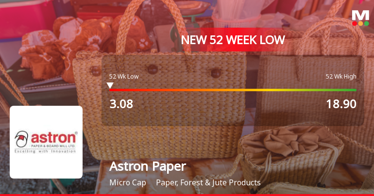 Astron Paper & Board Mill Ltd Falls to 52-Week Low of Rs 3.08 as Sell-Off Deepens