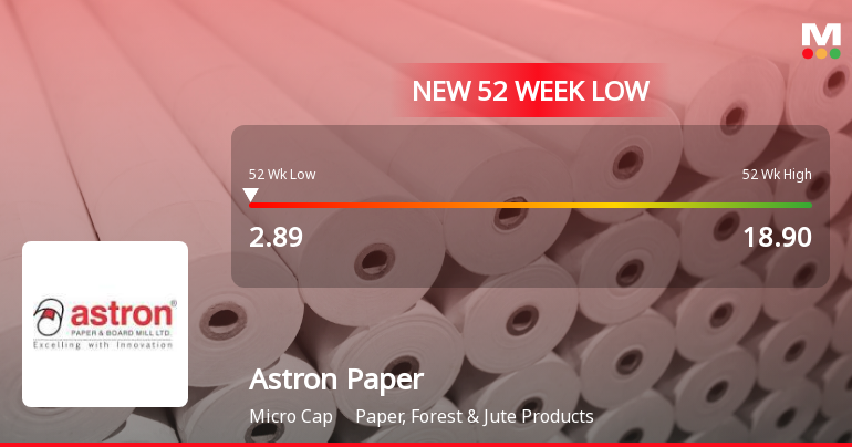 Astron Paper & Board Mill Ltd Falls to 52-Week Low of Rs 2.89 as Sell-Off Deepens