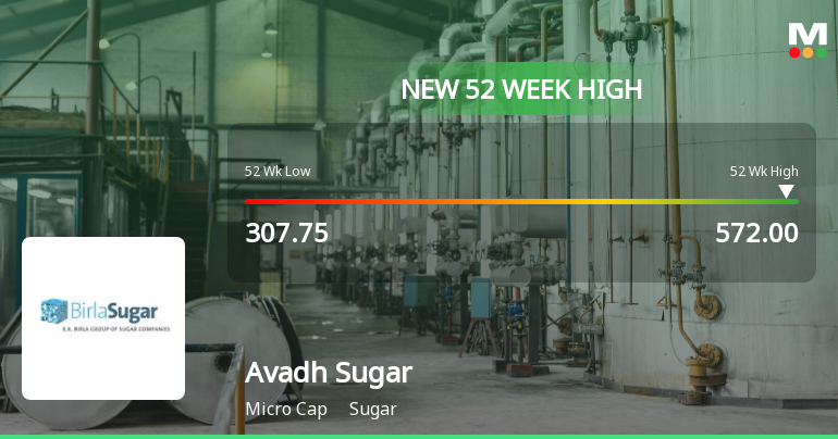 Broad-Based Technical Strength Lifts Avadh Sugar & Energy Ltd to 52-Week High of Rs 572