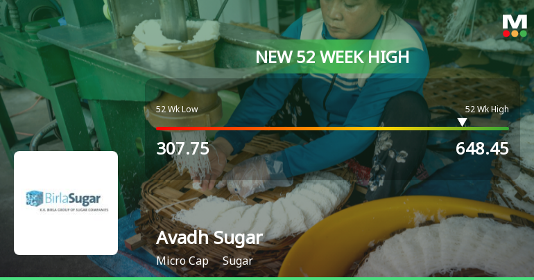Broad-Based Technical Strength Lifts Avadh Sugar & Energy Ltd to 52-Week High of Rs 648.45