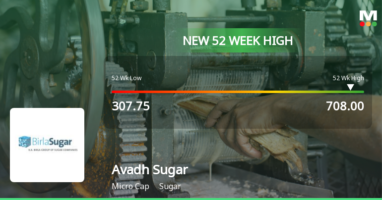 Broad-Based Technical Strength Lifts Avadh Sugar & Energy Ltd to 52-Week High of Rs 708