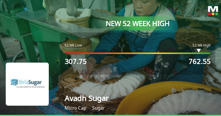 Broad-Based Technical Strength Lifts Avadh Sugar & Energy Ltd to 52-Week High of Rs 762.55