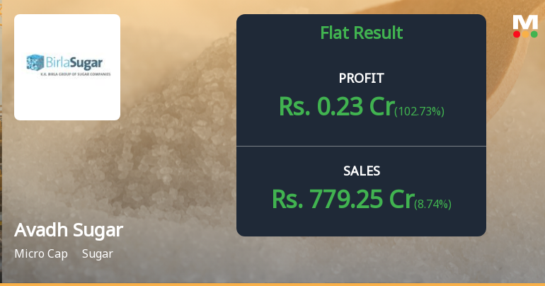 Avadh Sugar Q1 FY27: Profit Plunges 97% as Margins Collapse Amid Operational Pressures