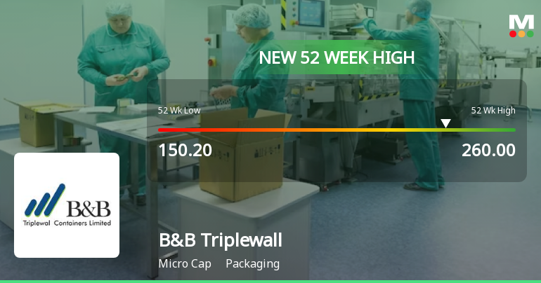 B&B Triplewall Containers Ltd Hits New 52-Week High of Rs 260 on Back of Strong Technical Signals