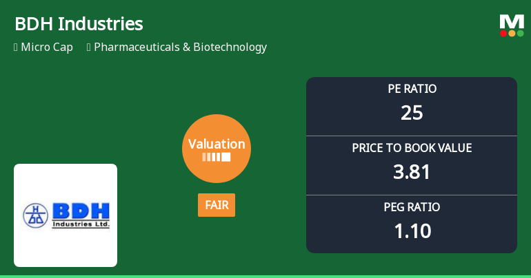 BDH Industries Ltd Valuation Shifts Signal Changing Market Sentiment