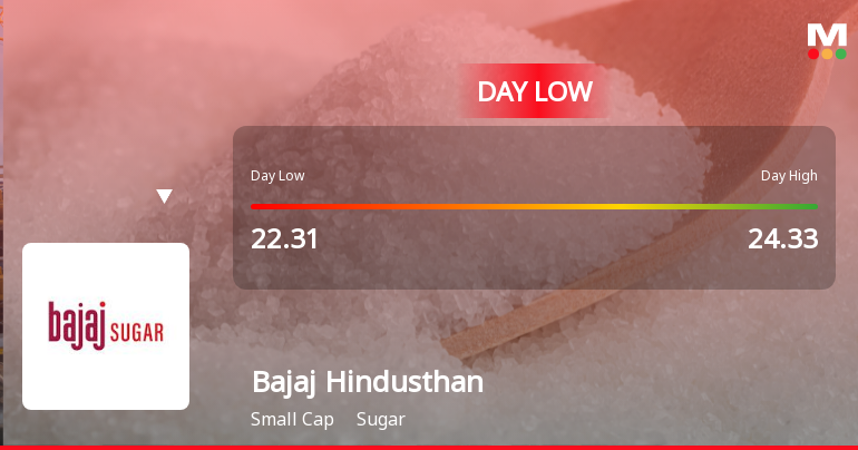 Bajaj Hindusthan Sugar Ltd Hits Intraday Low Amid Price Pressure