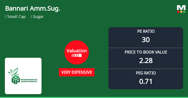 Bannari Amman Sugars Ltd Valuation Shifts Signal Heightened Price Risk