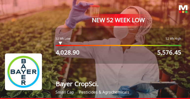 Bayer CropScience Ltd Falls to 52-Week Low of Rs 4,028.9 as Sell-Off Deepens