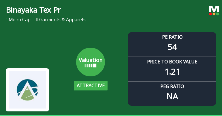 Binayaka Tex Processors Ltd Valuation Shifts Signal Mixed Outlook for Investors