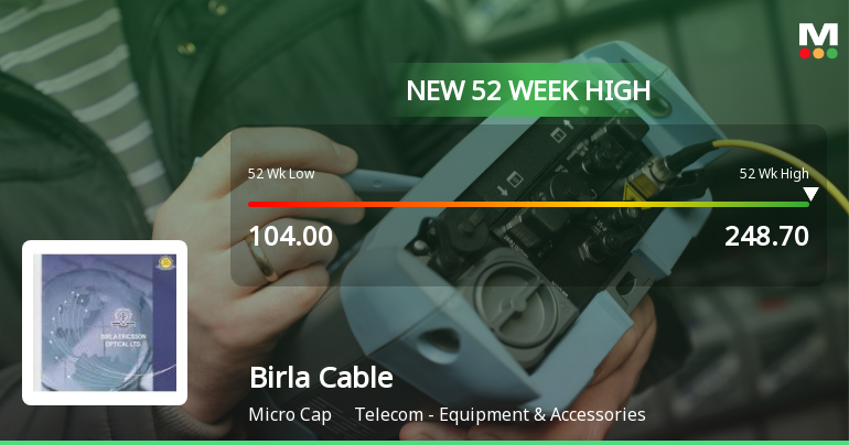 Broad-Based Technical Strength Lifts Birla Cable Ltd to 52-Week High of Rs 248.7