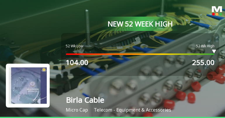 Broad-Based Technical Strength Lifts Birla Cable Ltd to 52-Week High of Rs 255