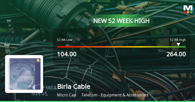 Broad-Based Technical Strength Lifts Birla Cable Ltd to 52-Week High of Rs 264