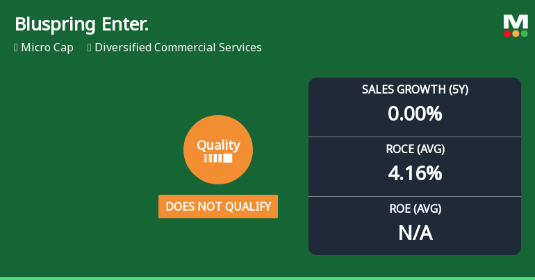 Bluspring Enterprises Ltd Quality Grade Downgrade Highlights Fundamental Challenges