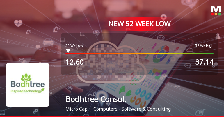Bodhtree Consulting Ltd Falls to 52-Week Low of Rs 12.6 as Sell-Off Deepens