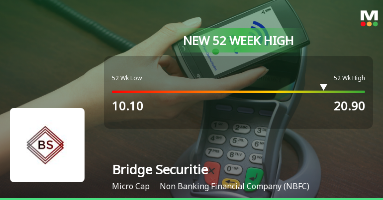 Broad-Based Technical Strength Lifts Bridge Securities Ltd to 52-Week High of Rs 20.5