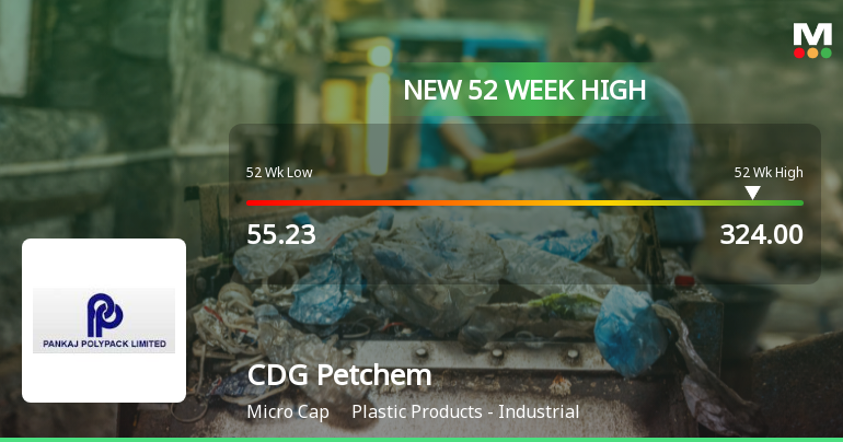 Broad-Based Technical Strength Lifts CDG Petchem Ltd to 52-Week High of Rs 324