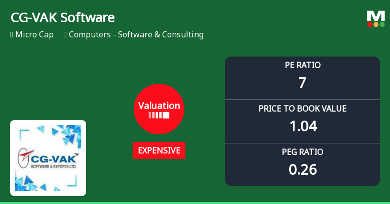 CG-VAK Software & Exports Ltd Valuation Shifts Signal Expensive Territory Amid Mixed Returns