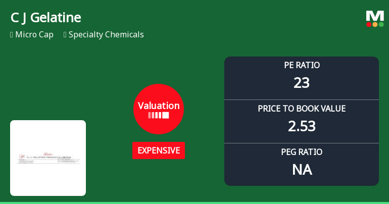 C J Gelatine Products Ltd Valuation Shifts Signal Price Attractiveness Decline