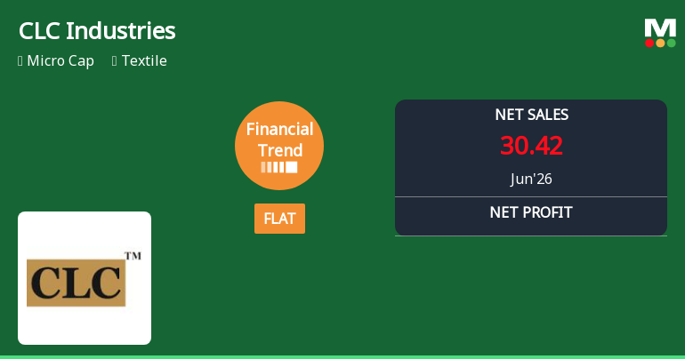 CLC Industries Ltd Reports Mixed Quarterly Performance Amidst Flat Financial Trend