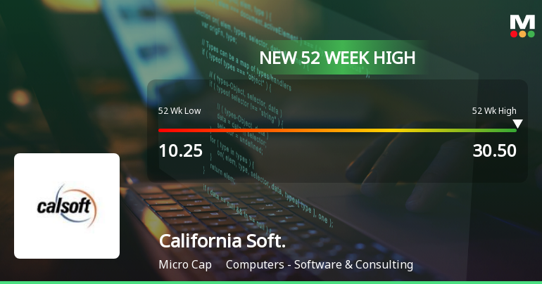 Broad-Based Technical Strength Lifts California Software Company Ltd to 52-Week High of Rs 30.5