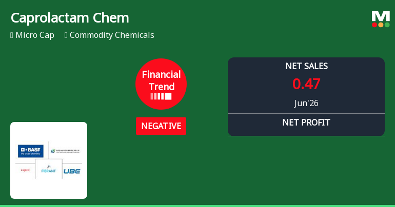 Caprolactam Chemicals Ltd Faces Sharp Financial Downturn in Q1 2026