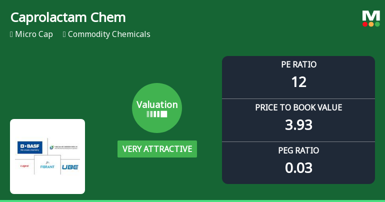Caprolactam Chemicals Ltd Valuation Shifts Signal Renewed Price Attractiveness