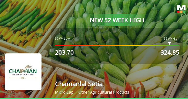 Broad-Based Technical Strength Lifts Chamanlal Setia Exports Ltd to 52-Week High of Rs 324.85
