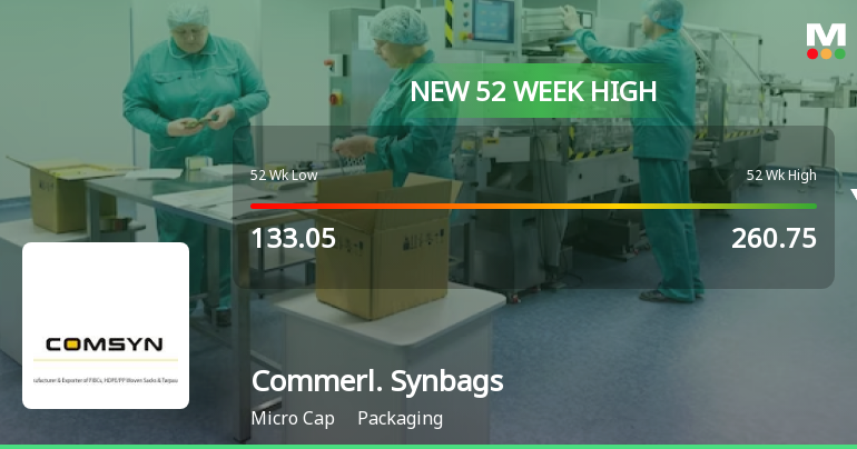 Broad-Based Technical Strength Lifts Commercial Syn Bags Ltd to 52-Week High of Rs 260.75