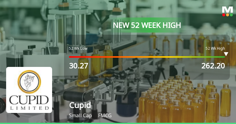 Broad-Based Technical Strength Lifts Cupid Ltd to 52-Week High of Rs 260
